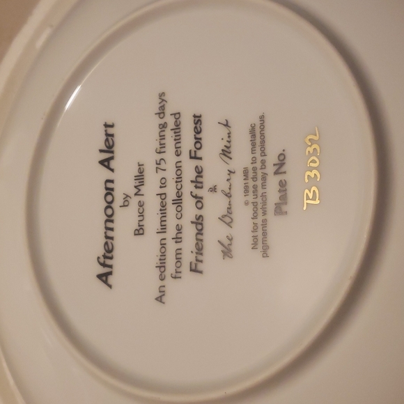 AFTERNOON  ALERT COLLECTOR PLATE - Picture 5 of 5